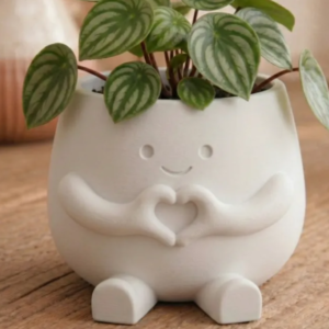 Hearty Pot – Cute Heart-Hands Decor