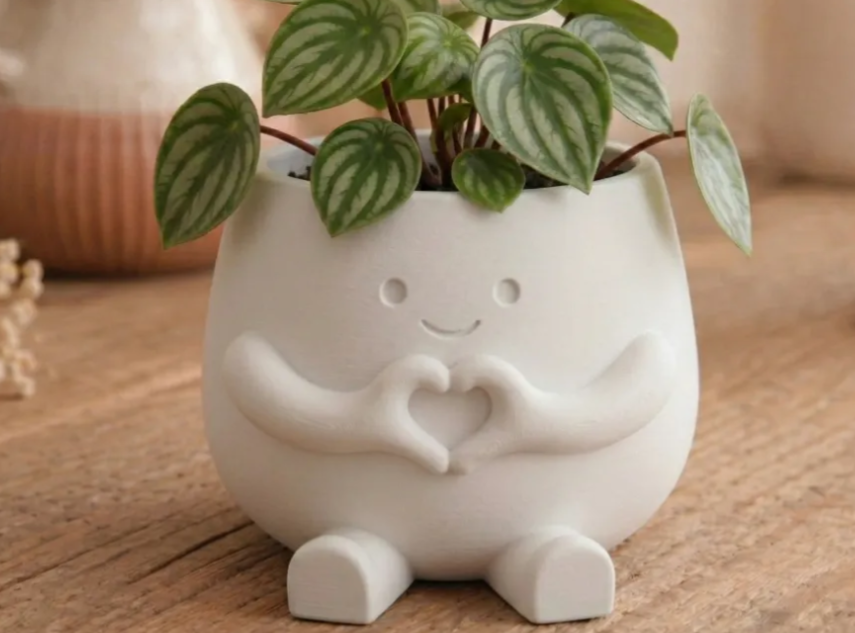 Hearty Pot - Cute Heart-Hands Decor