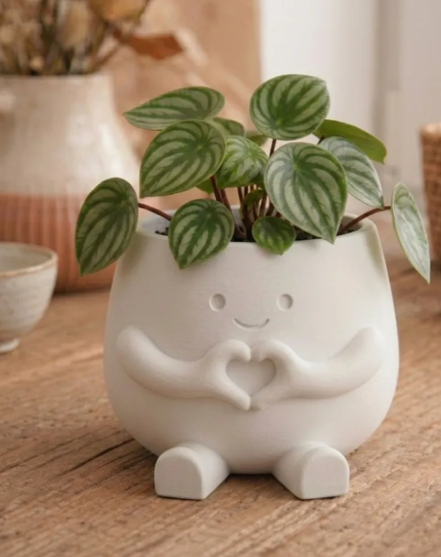 Hearty Pot - Cute Heart-Hands Decor