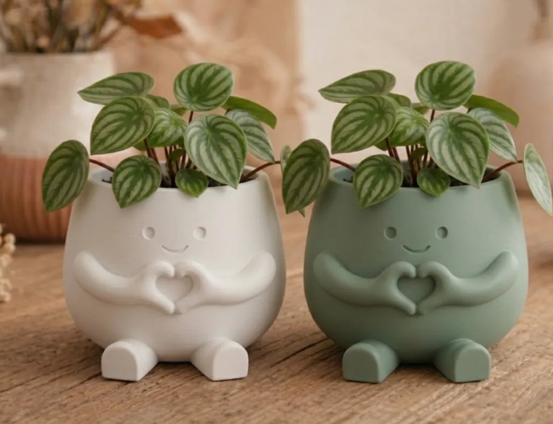 Hearty Pot - Cute Heart-Hands Decor