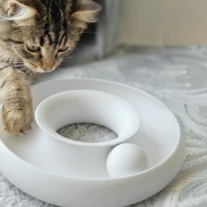 Cat Ball Track Toy