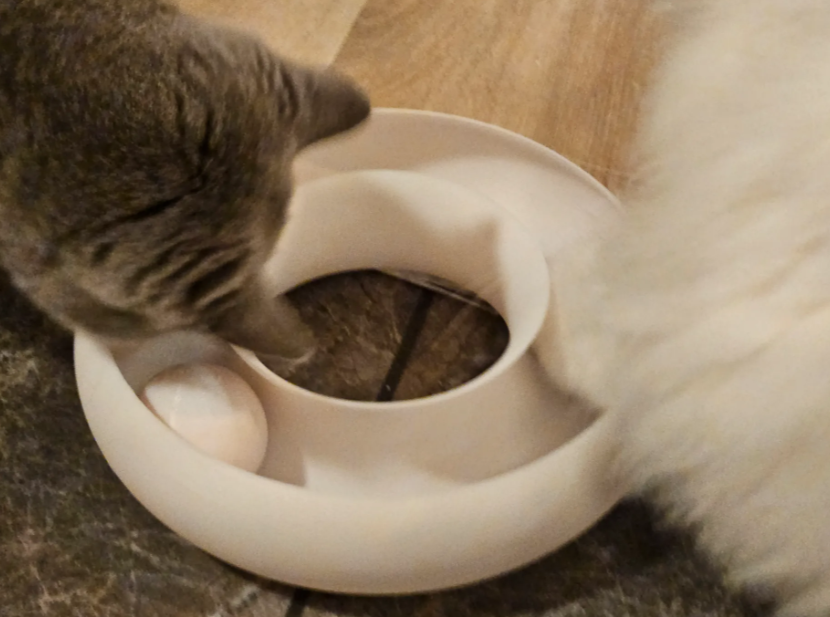 Cat Ball Track Toy