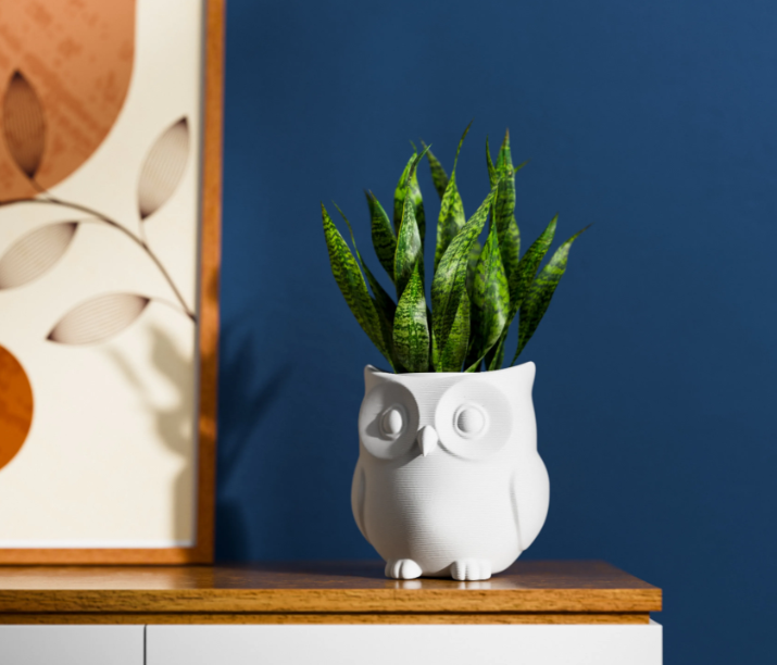 Cute Owl Planter – Decorative Flowerpot